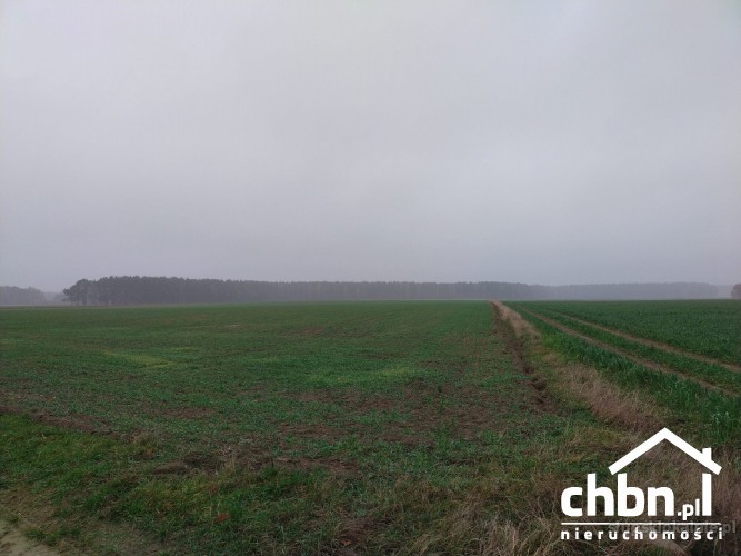 ziemia-rolna-w-okolicach-chojnic-881-ha-37419-dzialki-i-grunty.jpg