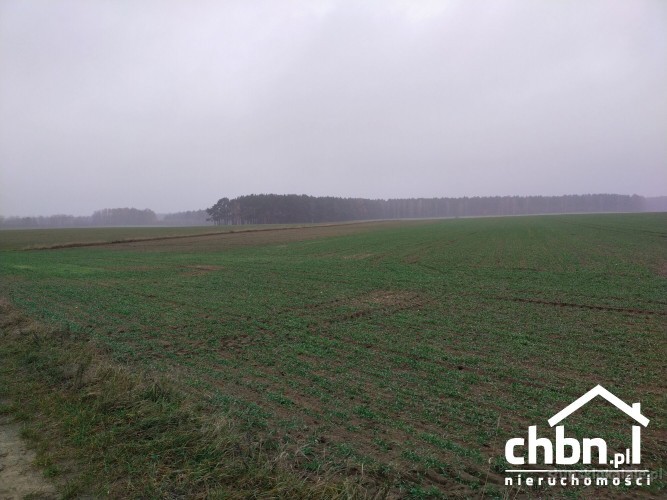 ziemia-rolna-w-okolicach-chojnic-881-ha-37419-slupsk-do-sprzedania.jpg