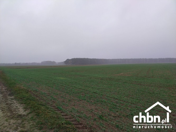 ziemia-rolna-w-okolicach-chojnic-881-ha-37419-slupsk-foto.jpg