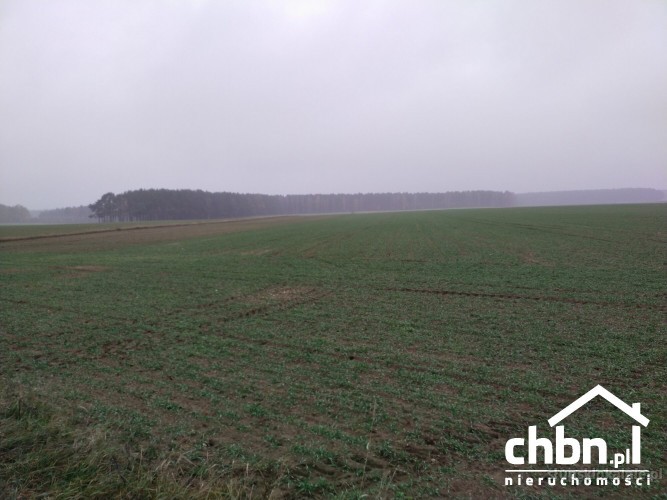 ziemia-rolna-w-okolicach-chojnic-881-ha-37419-slupsk-na-sprzedaz.jpg