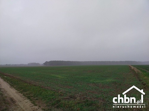 ziemia-rolna-w-okolicach-chojnic-881-ha-37419-slupsk.jpg
