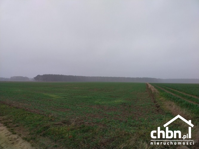 ziemia-rolna-w-okolicach-chojnic-881-ha-37419-sprzedam.jpg