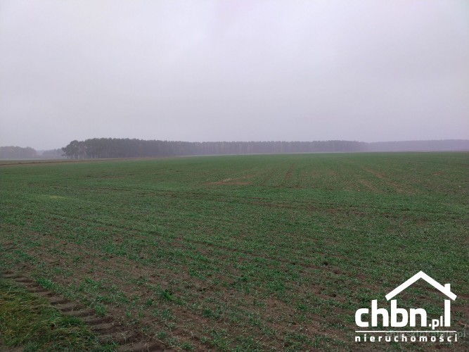 ziemia-rolna-w-okolicach-chojnic-881-ha-37419-zdjecia.jpg