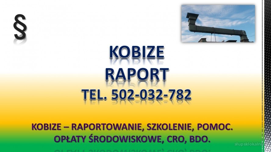 Raport do Kobize dla zakładu, cena tel. 502-032-782.